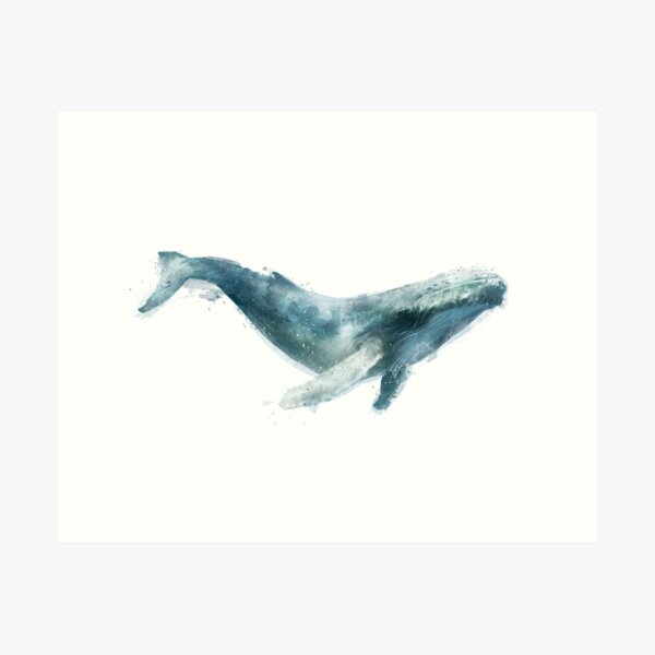 Item preview, Humpback Whale designed and sold by Amy Hamilton.