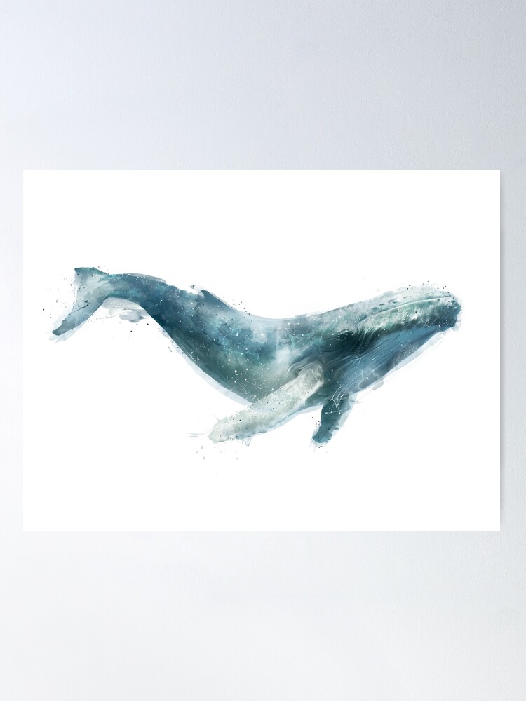 Thumbnail 2 of 3, Poster, Humpback Whale designed and sold by Amy Hamilton.