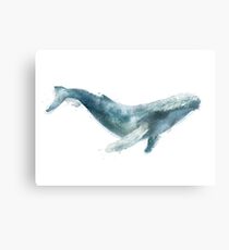 Humpback Whale Metal Print