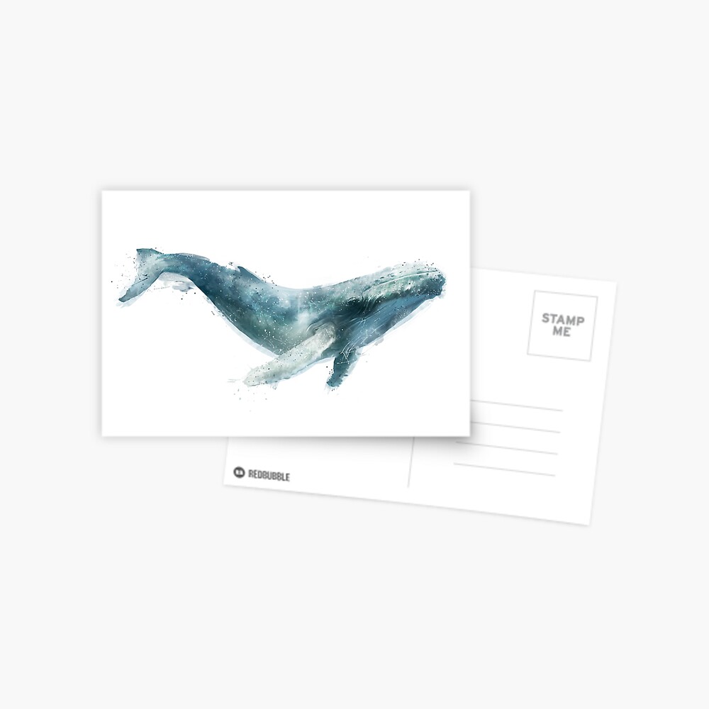 Humpback Whale Postcard