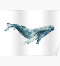 Humpback Whale Poster