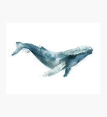 Humpback Whale Photographic Print