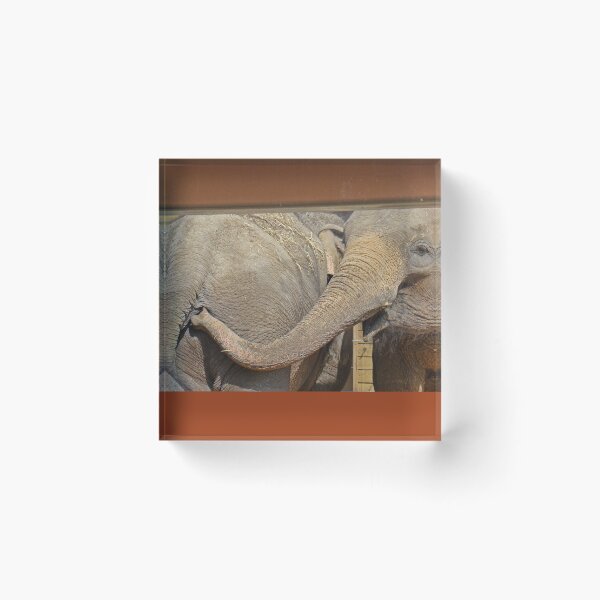 Item preview, Have A Peanut.... designed and sold by alabca.