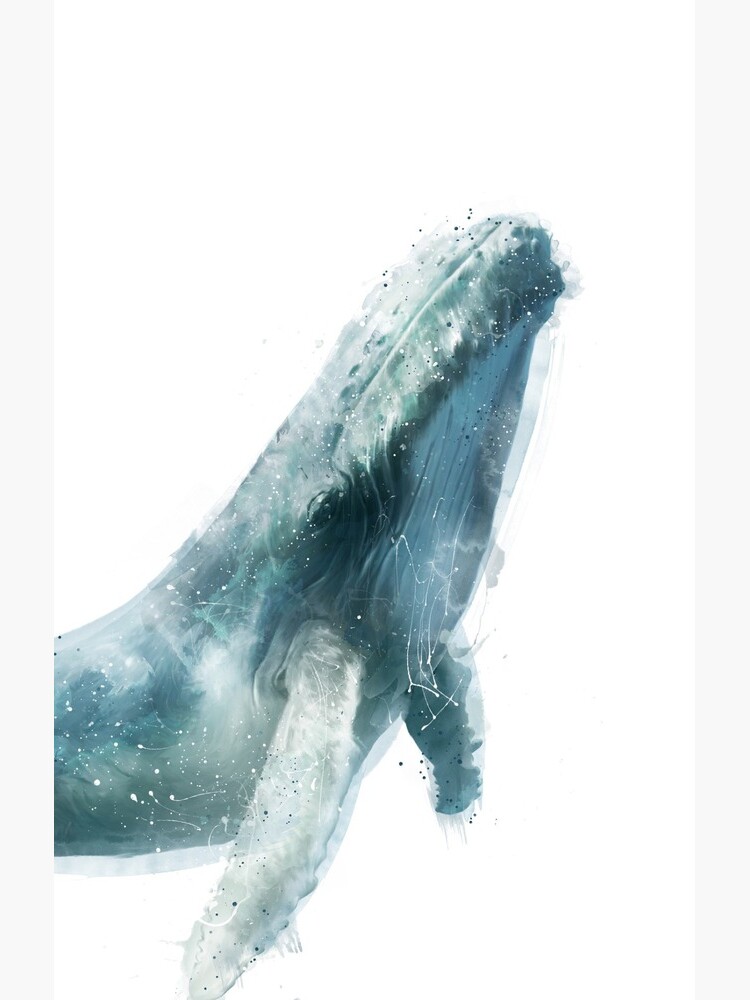 Humpback Whale by AmyHamilton