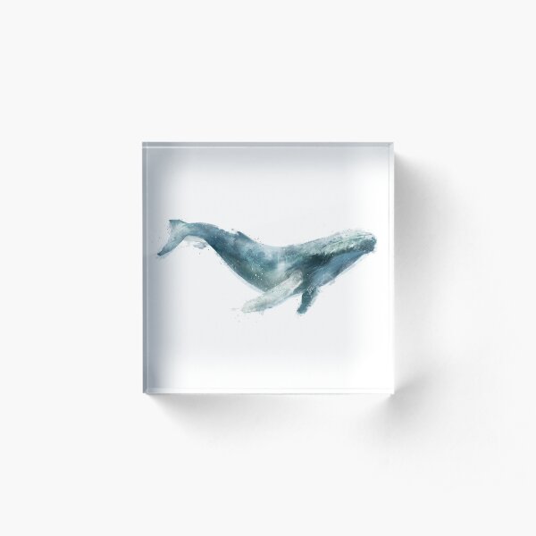 Humpback Whale Acrylic Block