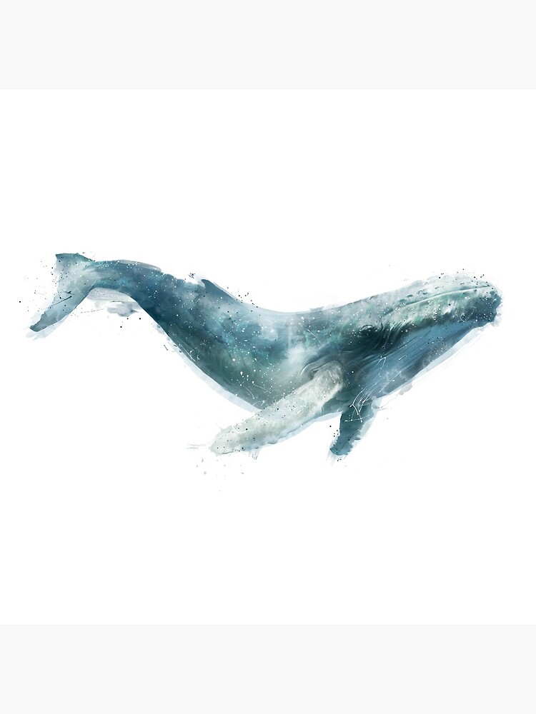 Humpback Whale by AmyHamilton