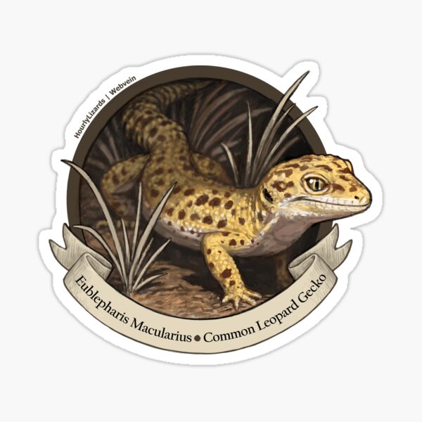 Item preview, HourlyLizards + Webvein | Common Leopard Gecko - Eublepharis Macularius designed and sold by hourlylizards.