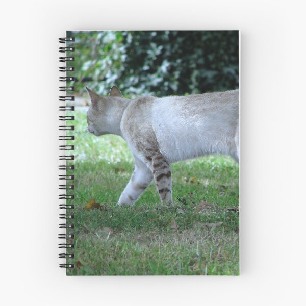 Item preview, Cat designed and sold by Sharon Perrett.