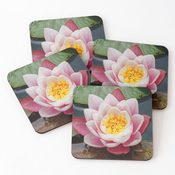 Item preview, Blooming water lily in summer designed and sold by Klaus Offermann.