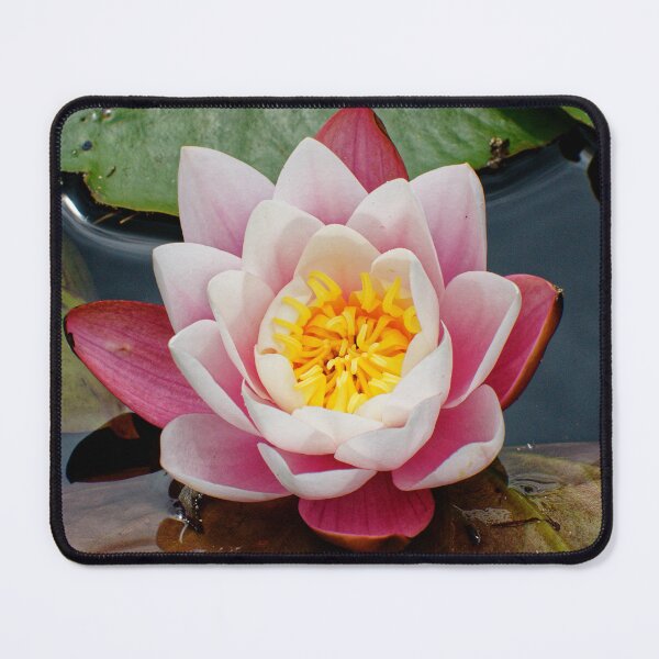 Item preview, Blooming water lily in summer designed and sold by Klaus Offermann.