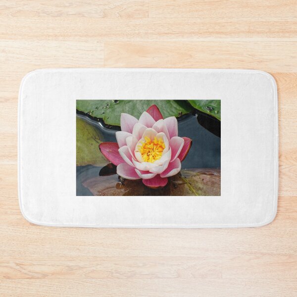 Item preview, Blooming water lily in summer designed and sold by Klaus Offermann.