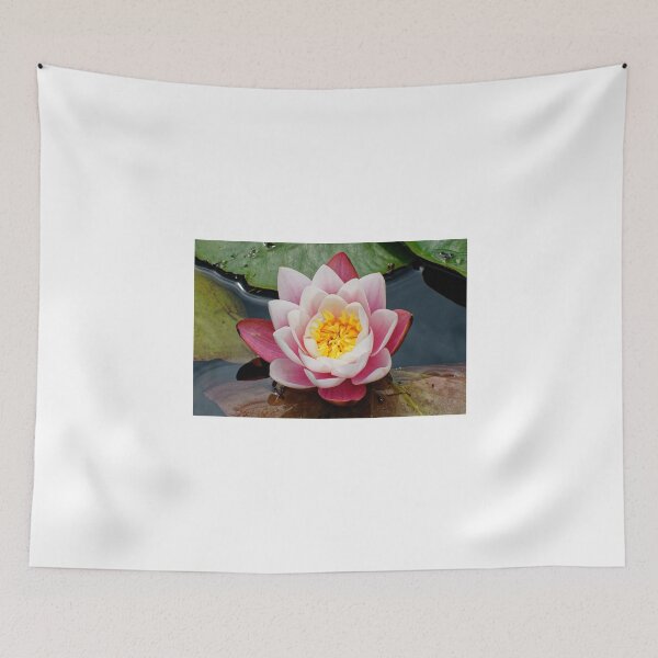 Item preview, Blooming water lily in summer designed and sold by Klaus Offermann.