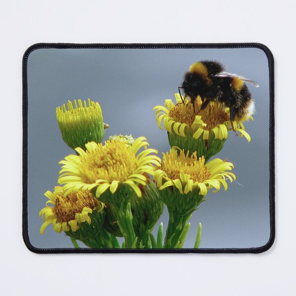 Item preview, Busy Bee designed and sold by Sharon Perrett.