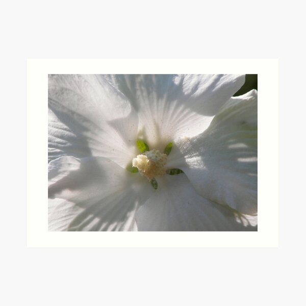 For you .... Art Print