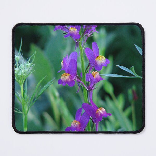 Item preview, Roundabout Magic - Linaria designed and sold by Sharon Perrett.