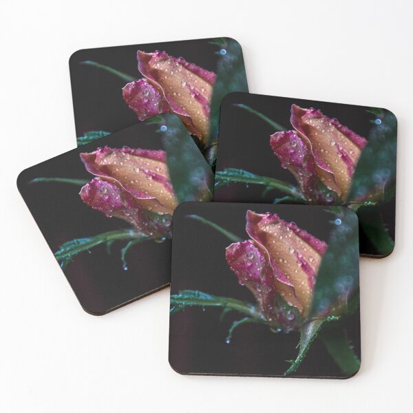 Item preview, Drenched rose designed and sold by indiafrankk.