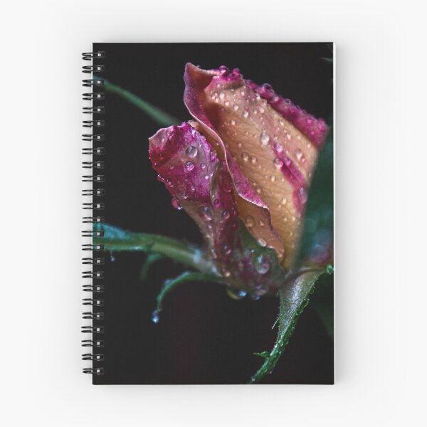 Item preview, Drenched rose designed and sold by indiafrankk.
