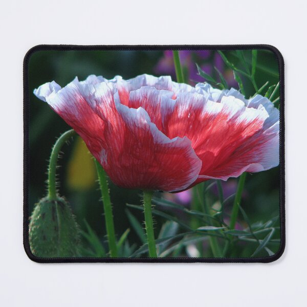 Item preview, Roundabout Magic - Poppy 4 designed and sold by Sharon Perrett.