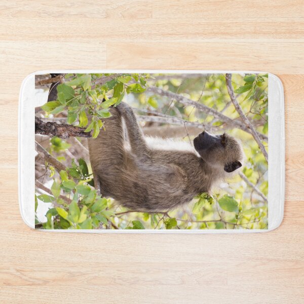Item preview, Chacma Baboon - Kruger National Park, South Africa designed and sold by holgermader.