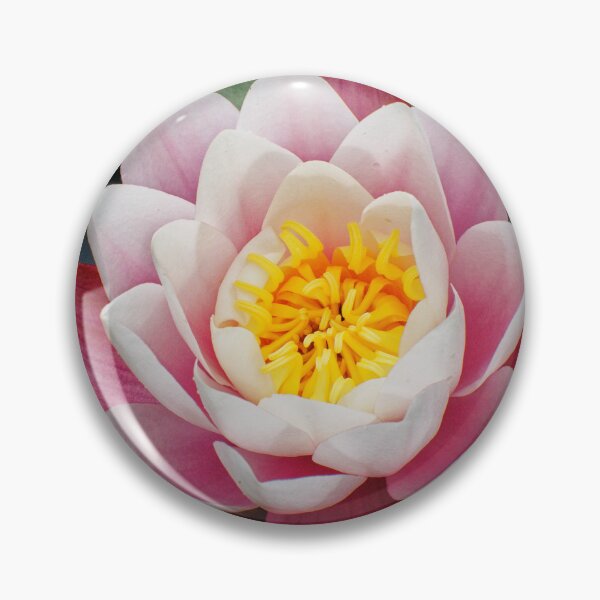 Item preview, Blooming water lily in summer designed and sold by Klaus Offermann.