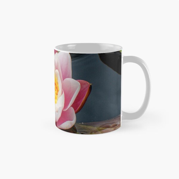 Item preview, Blooming water lily in summer designed and sold by Klaus Offermann.