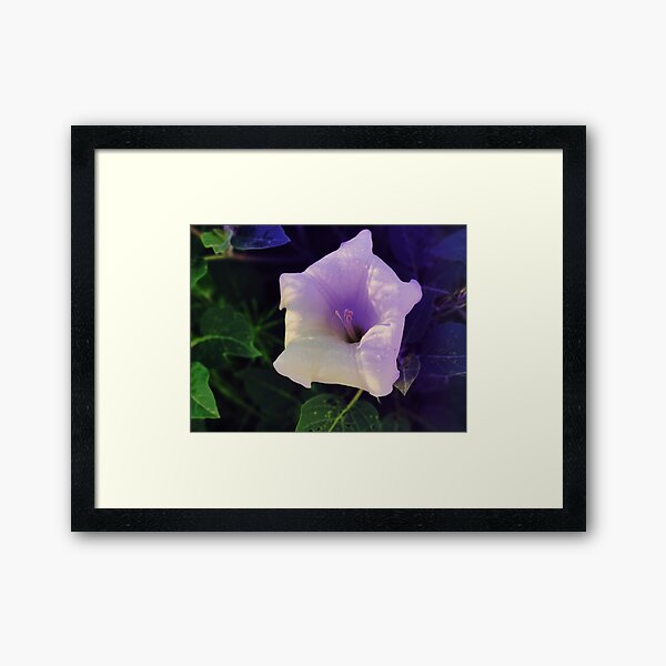 Aperçu de l'œuvre Moonflower sur Sandia, Nouveau-Mexique créée et vendue par Marielle Valenzuela.