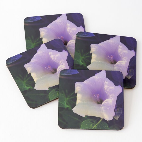 Item preview, Moonflower on Sandia, New Mexico designed and sold by Marielle Valenzuela.