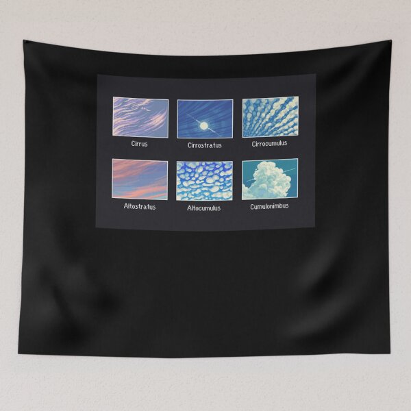 Aperçu de l'œuvre Types de nuages T-shirt premium créée et vendue par ThijmenDongen.