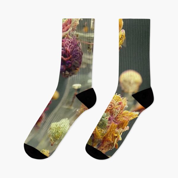 Item preview, Botanic new species - alien plants designed and sold by ontano.