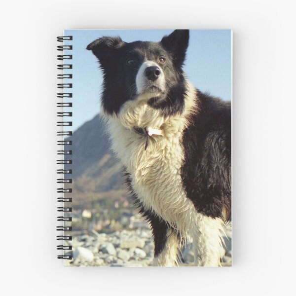 Item preview, Superdog designed and sold by Michael Haslam.
