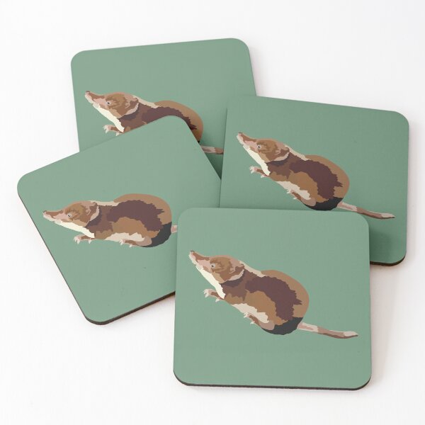 Item preview, C is for Common Shrew , Common Shrew Illustration – Small Mammal Wildlife Art for Nature Enthusiasts designed and sold by PrettylittlepastelUk.