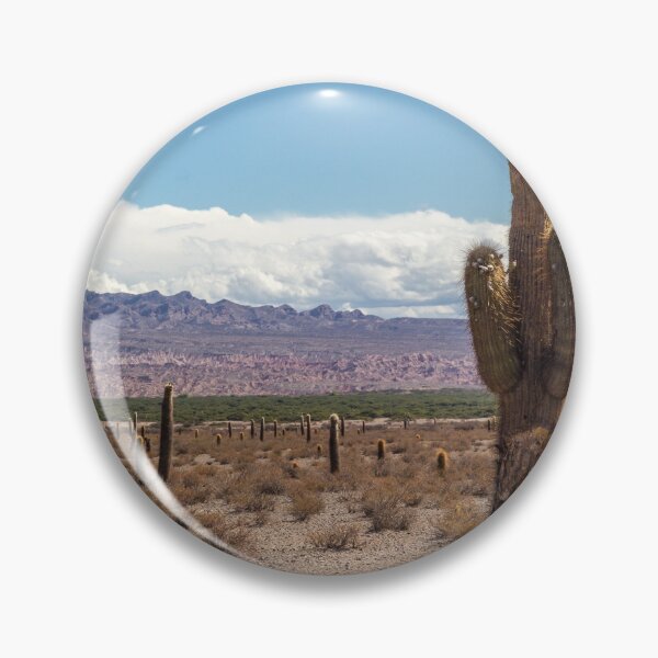 Item preview, Cardón in Parque Nacional Los Cardones - Argentina designed and sold by holgermader.