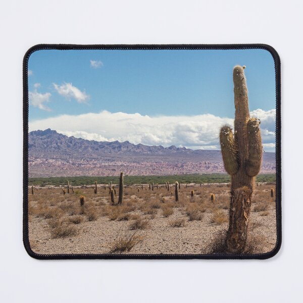 Item preview, Cardón in Parque Nacional Los Cardones - Argentina designed and sold by holgermader.
