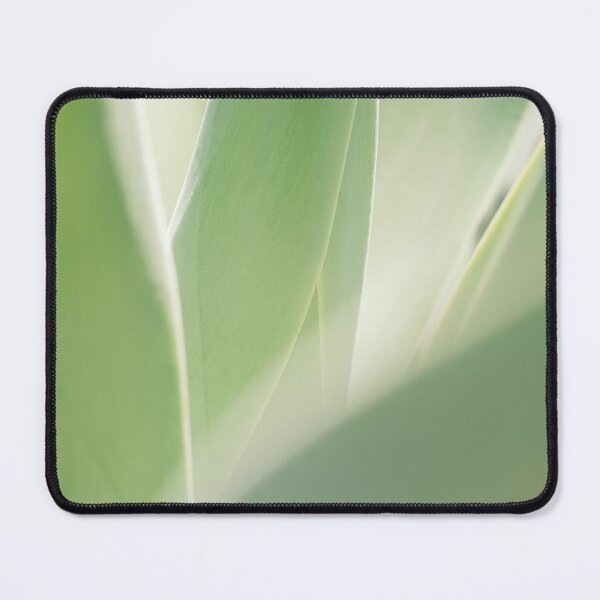 Item preview, Agave Cactus / Ibiza Nature & Travel Photography designed and sold by Diana van Neck.