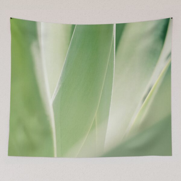 Item preview, Agave Cactus / Ibiza Nature & Travel Photography  designed and sold by Diana van Neck.