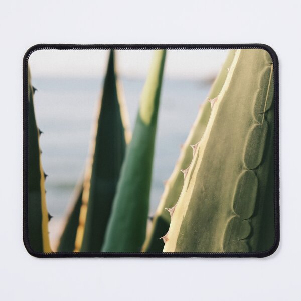 Item preview, Agave cactus with sea view / Ibiza Nature & Travel Photography  designed and sold by Diana van Neck.