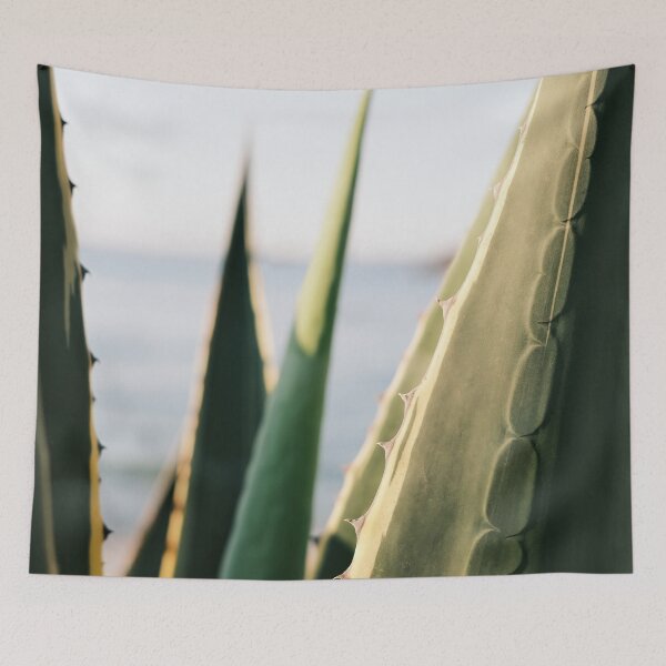 Item preview, Agave cactus with sea view / Ibiza Nature & Travel Photography  designed and sold by Diana van Neck.