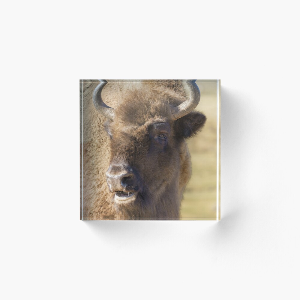 Item preview, Acrylic Block designed and sold by rawshutterbug.