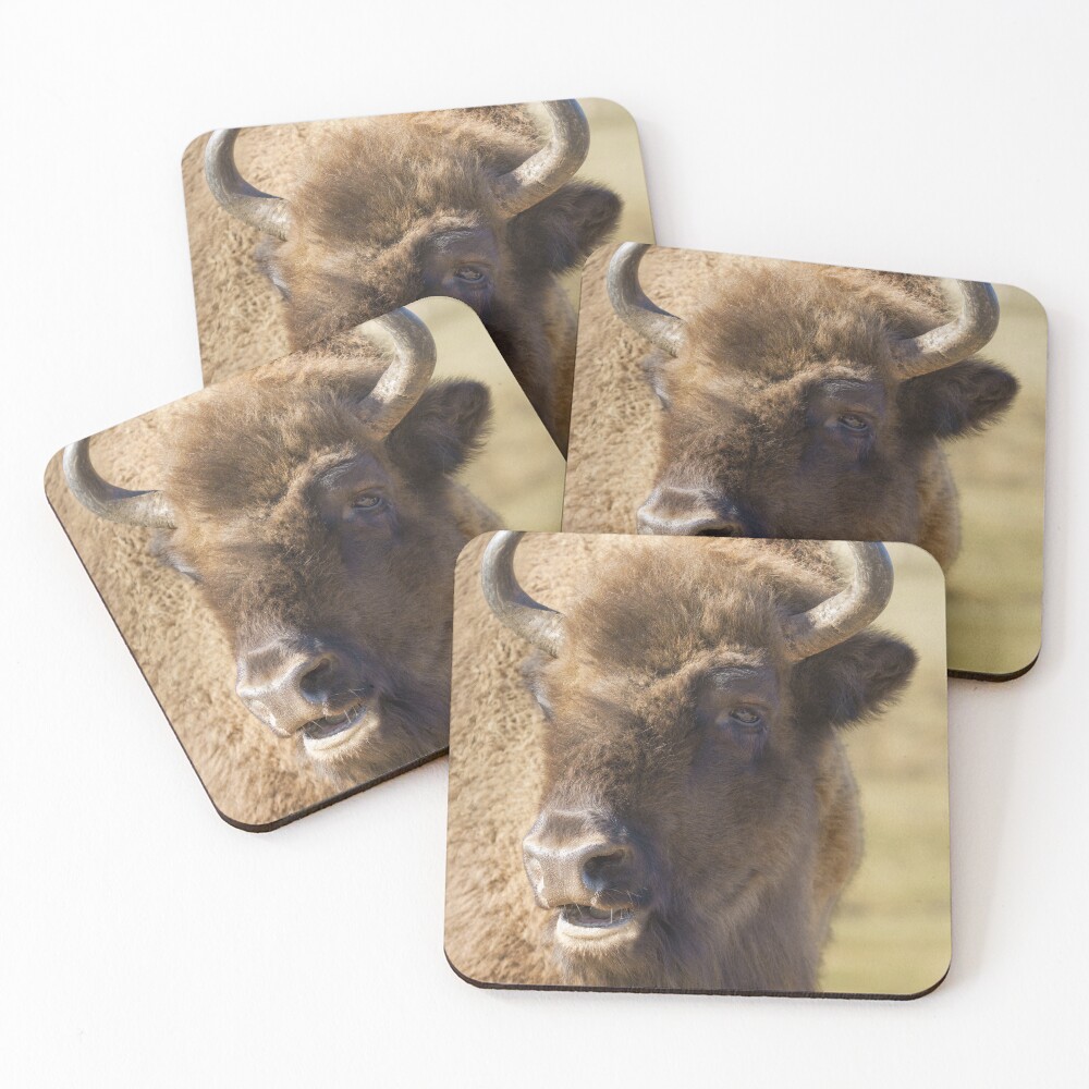 Item preview, Coasters (Set of 4) designed and sold by rawshutterbug.