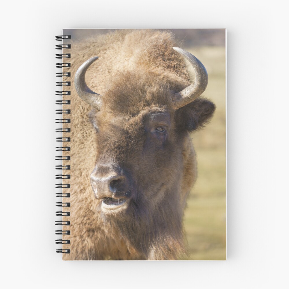 Item preview, Spiral Notebook designed and sold by rawshutterbug.