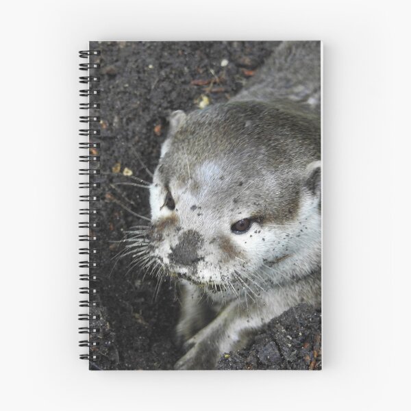 Item preview, Digging otter designed and sold by StudioCorvid.
