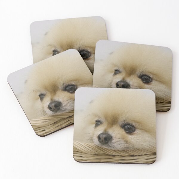 Item preview, A cute white furry puppy is lying in a basket. designed and sold by ATime7Day.