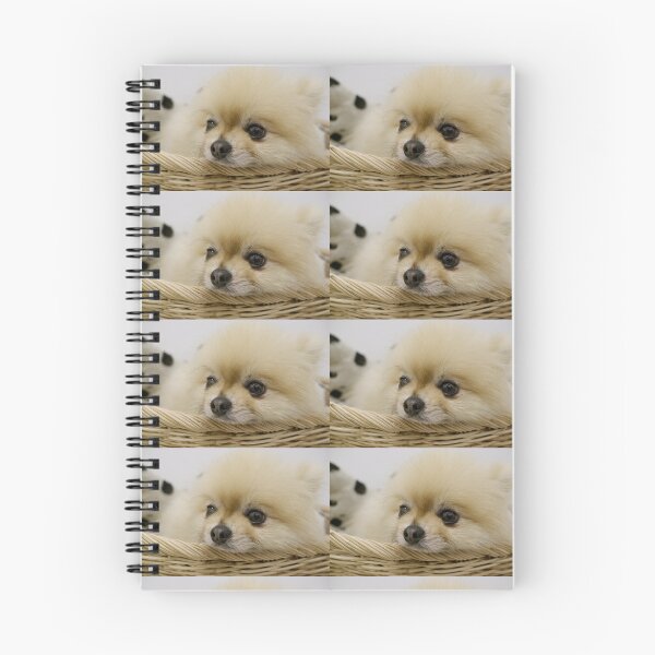 Item preview, A cute white furry puppy is lying in a basket. designed and sold by ATime7Day.
