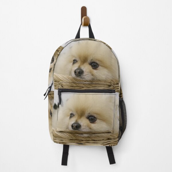 Item preview, A cute white furry puppy is lying in a basket. designed and sold by ATime7Day.