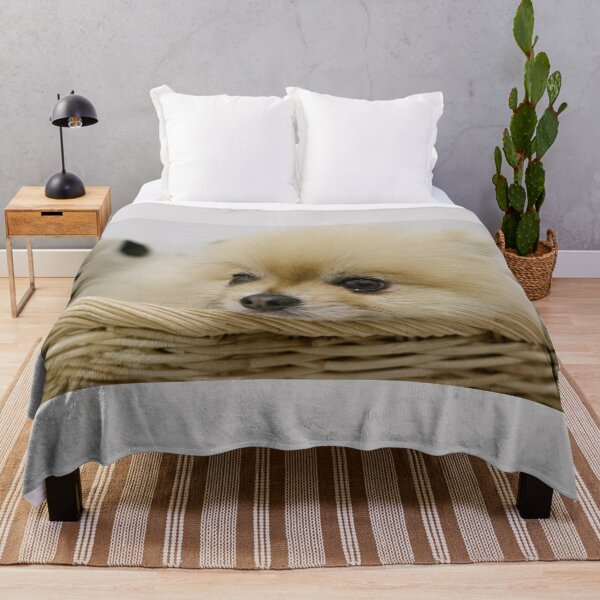 Item preview, A cute white furry puppy is lying in a basket. designed and sold by ATime7Day.