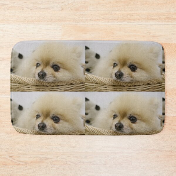 Item preview, A cute white furry puppy is lying in a basket. designed and sold by ATime7Day.