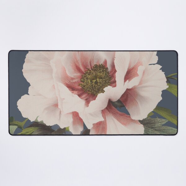 Item preview, Beautiful photomechanical prints of (1887–1897) by Ogawa Kazumasa. Original from The Rijksmuseum. designed and sold by JapaneseArtShop.