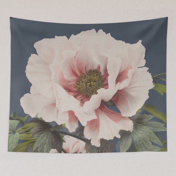 Item preview, Beautiful photomechanical prints of (1887–1897) by Ogawa Kazumasa. Original from The Rijksmuseum. designed and sold by JapaneseArtShop.
