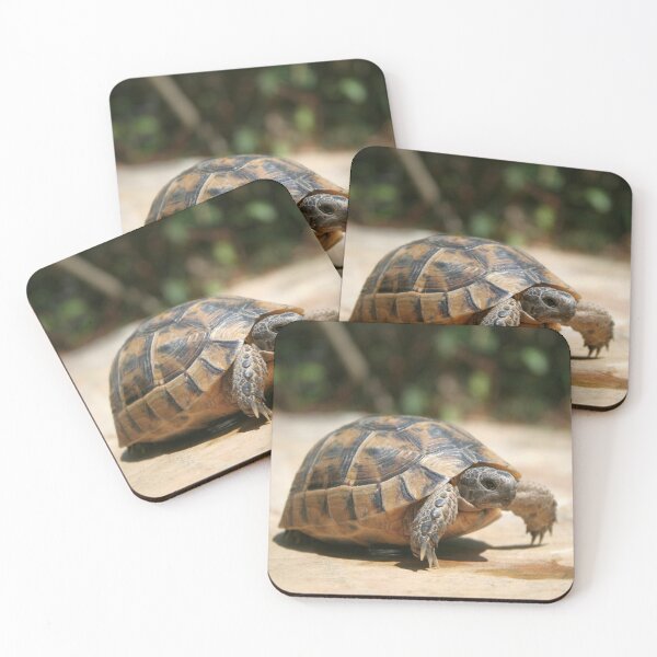 Item preview, Portrait of a Young Wild Tortoise Close Up designed and sold by taiche.