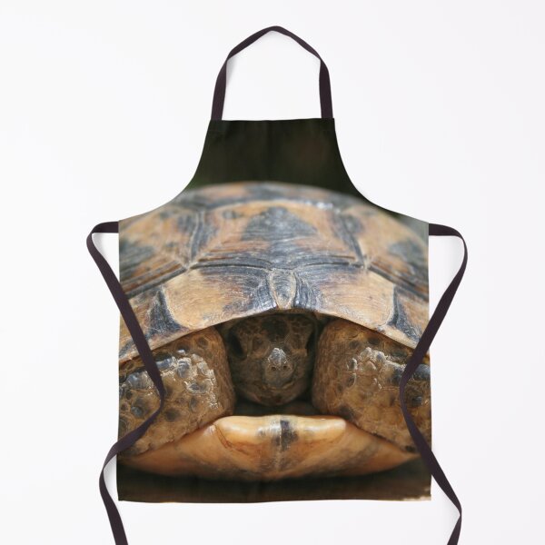 Item preview, Young Spur Thighed Tortoise Looking Out of Its Shell designed and sold by taiche.